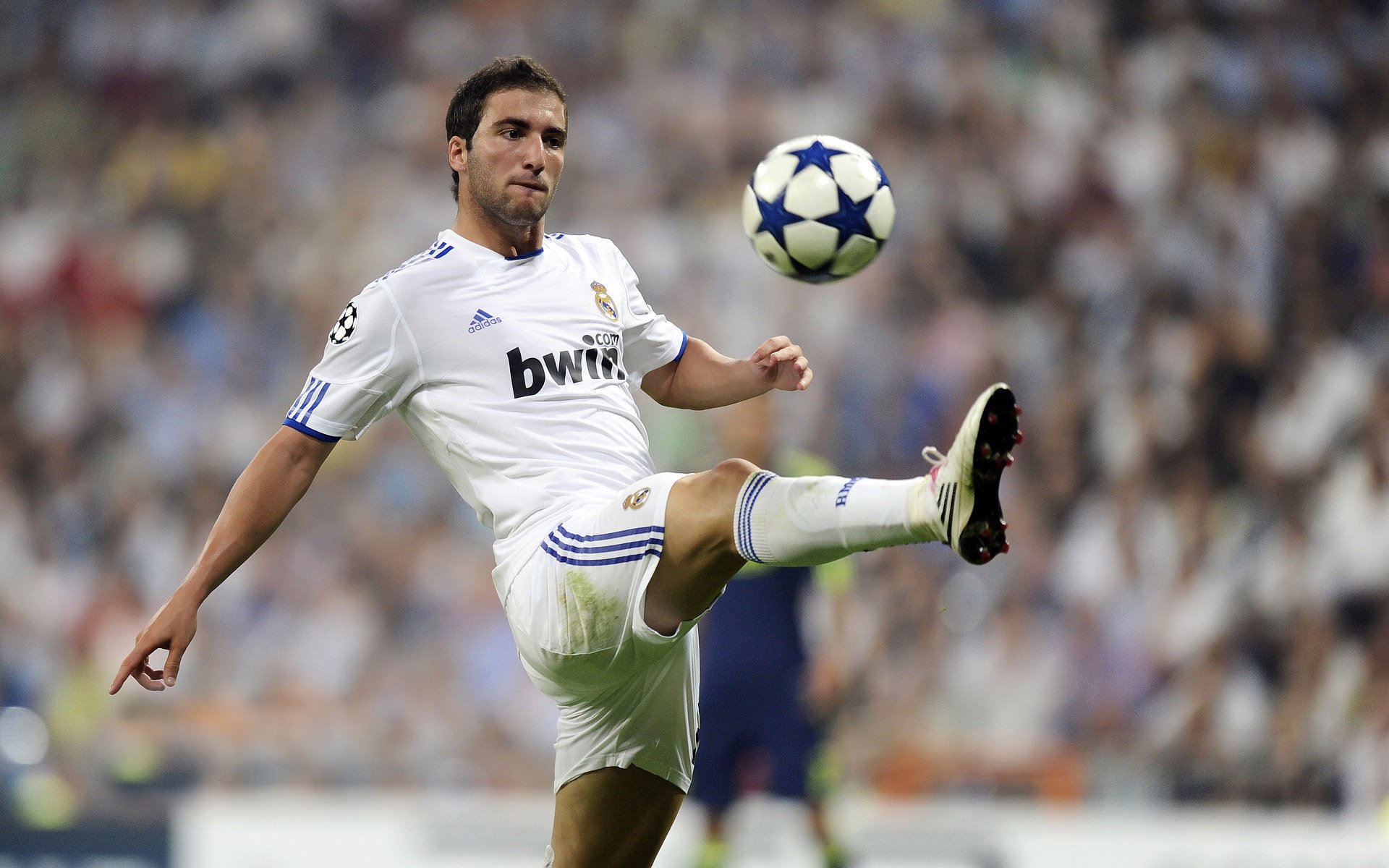 球迷“自制”短视频：最燃最感人的现场瞬间都在这里！，球迷搞笑视频